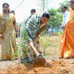 विश्व पर्यावरण दिवस पर मंत्री राजवाड़े ने किया पौधरोपण