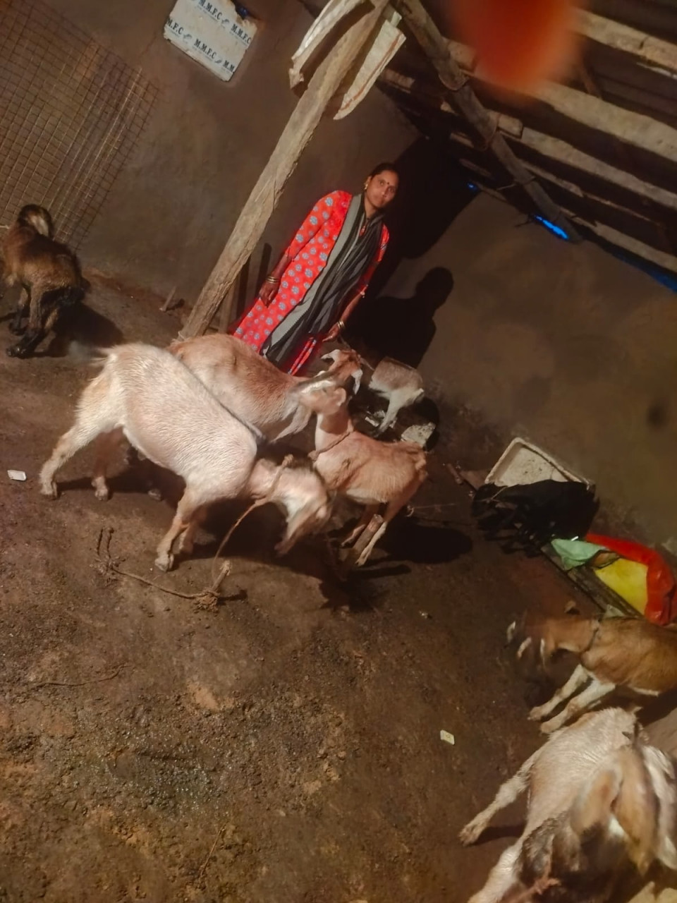 ’सेवा की कहानी’ :