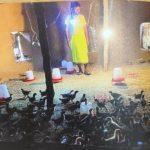 ’सेवा की कहानी’ : ’मुर्गी-बकरी पालन से मजबूत हुई शिवकुमार की आमदनी, हर माह कमा रहे 10-15 हजार रुपये’